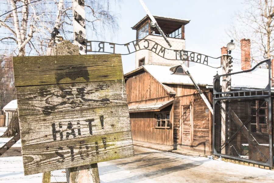 From Krakow: Auschwitz and Wieliczka Salt Mine Full-Day Trip - Key points at a glance