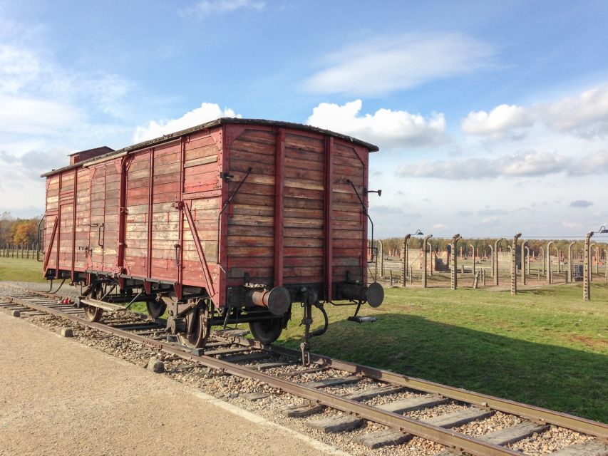 From Krakow: Auschwitz and Wieliczka Salt Mine Full-Day Trip - Guide quality and communication