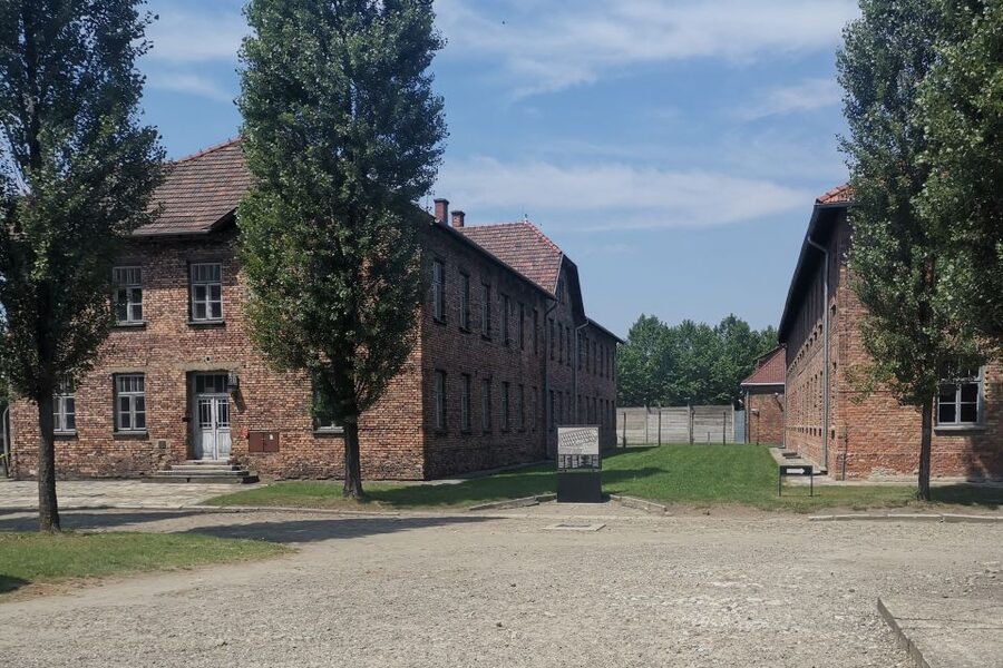 From Krakow: Auschwitz-Birkenau Camp Complex Guided Day Trip - Why this visit matters more than a normal day trip