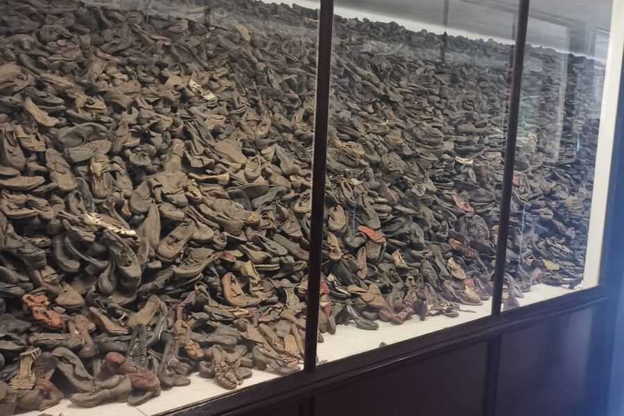 From Krakow: Auschwitz-Birkenau Camp Complex Guided Day Trip - Birkenau and the scale of the killing system