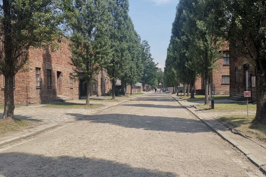 From Krakow: Auschwitz-Birkenau Camp Complex Guided Day Trip - The Italian guide and the value of clear context