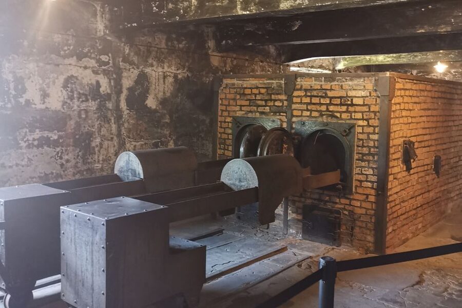 From Krakow: Auschwitz-Birkenau Camp Complex Guided Day Trip - The early Krakow pickup can be worth the lost sleep
