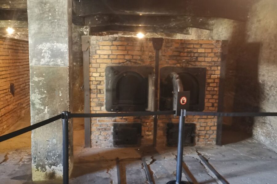 From Krakow: Auschwitz-Birkenau Camp Complex Guided Day Trip - Is $83 a fair price?