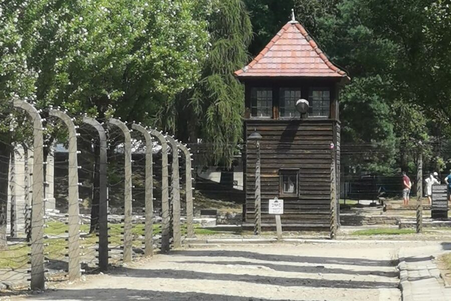 From Krakow: Auschwitz-Birkenau Camp Complex Guided Day Trip - Who will get the most from this experience?