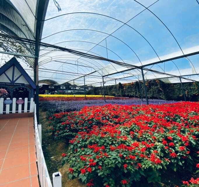 From Kuala Lumpur: Cameron Highlands Day Trip with Transfers - Roses, strawberries, and the pleasure of picking your own