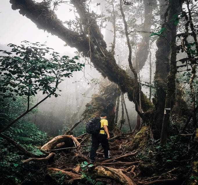 From Kuala Lumpur: Cameron Highlands Day Trip with Transfers - Who will enjoy this day most