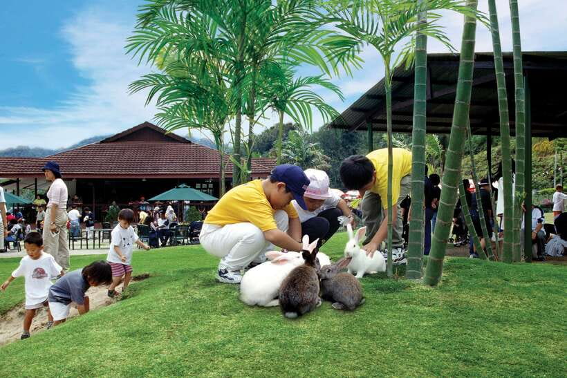 From Kuala Lumpur: Colmar Tropicale and Batu Caves Day Trip - Colmar Tropicale is best viewed as a themed hill resort