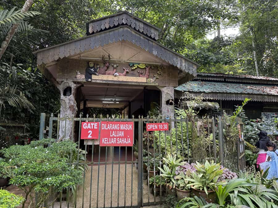 From Kuala Lumpur: Kuala Gandah Elephant Sanctuary Day Trip - Who will enjoy this day trip
