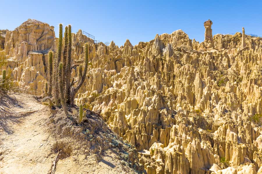 From La Paz: Day Trip to Chacaltaya and Moon Valley - Key points to know before booking