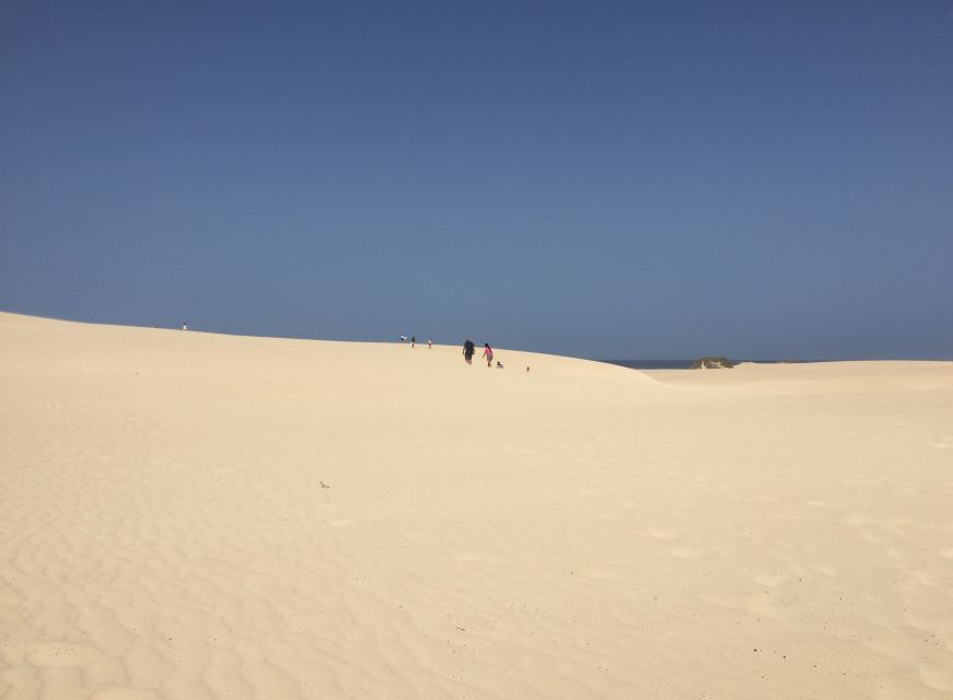 From Lanzarote: Fuerteventura Day Trip - Tefía and the dry interior