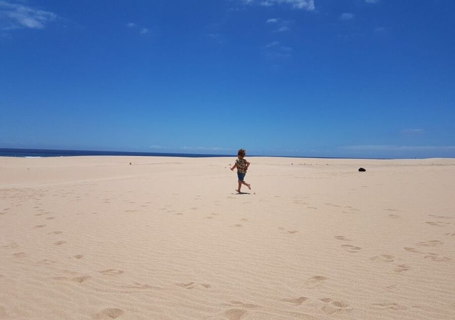 From Lanzarote: Fuerteventura Day Trip - Corralejo’s dunes and northern coast