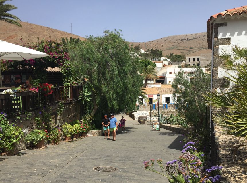 From Lanzarote: Fuerteventura Day Trip - What the $87 price really covers