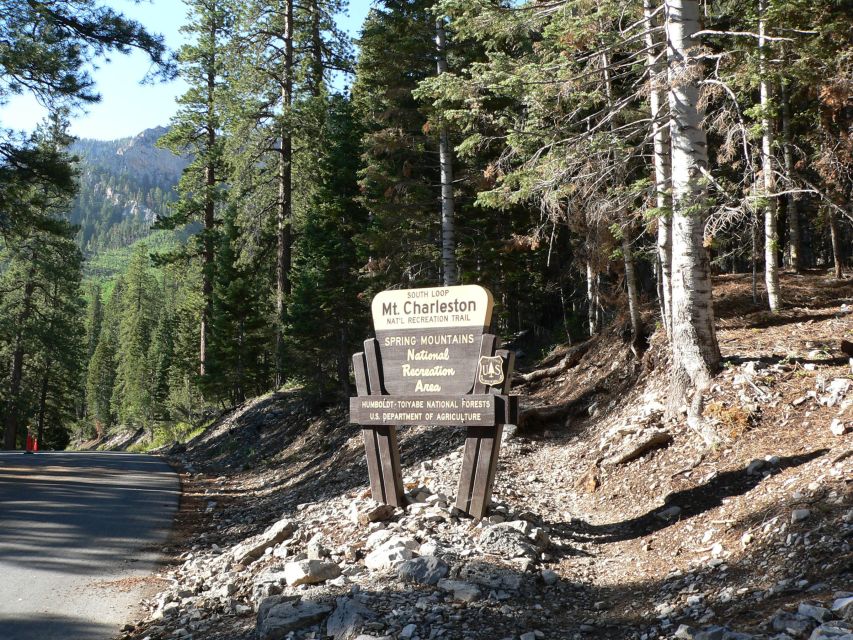 From Las Vegas: Day Trip to Mount Charleston Resort - What you see as the vegetation changes