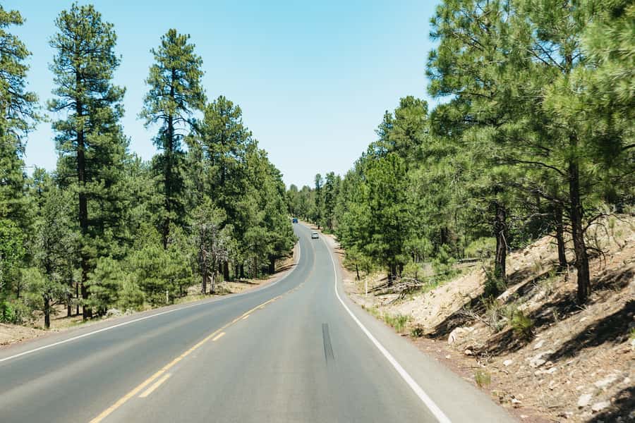 From Las Vegas: Grand Canyon South Rim Day Trip - Who should book this South Rim day trip?