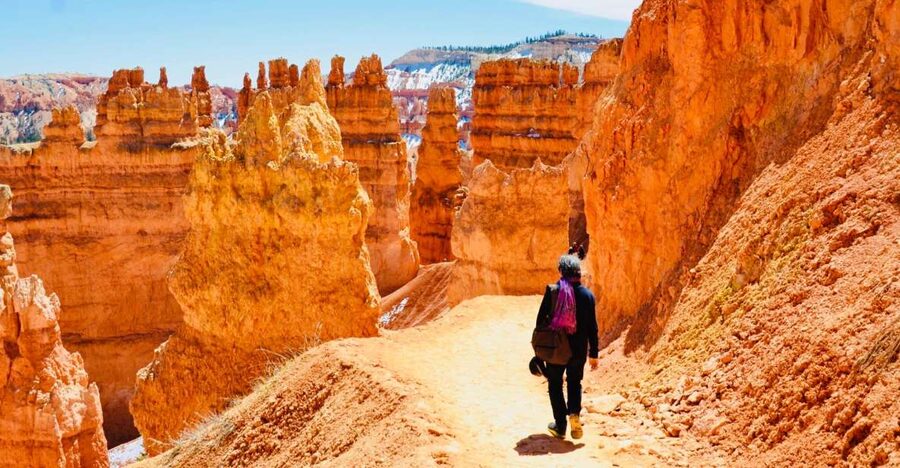 From Las Vegas: Zion and Bryce Canyon Day Trip with Pickup - Bryce Canyon’s hoodoos are the day’s visual high point