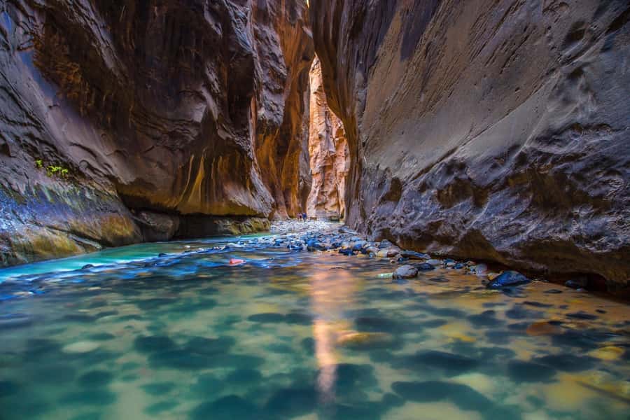 From Las Vegas: Zion National Park Day Trip - Key points to know before booking