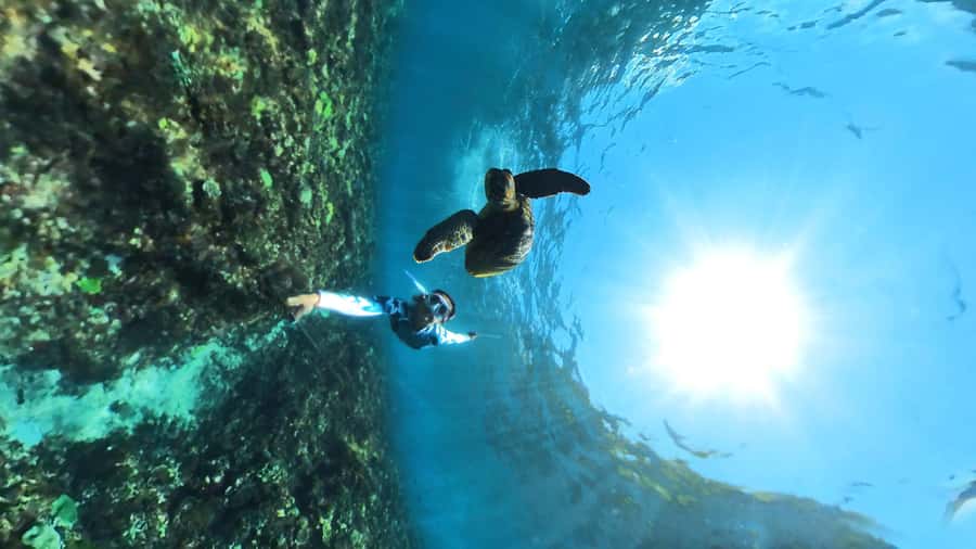 From Lembongan: Nusa Penida Snorkeling Day Trip - Highlights at a glance