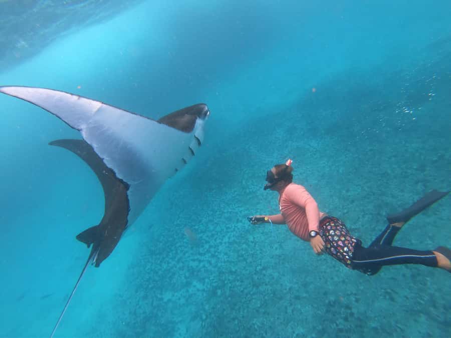 From Lembongan: Nusa Penida Snorkeling Day Trip - The real reason to book: manta rays in open water