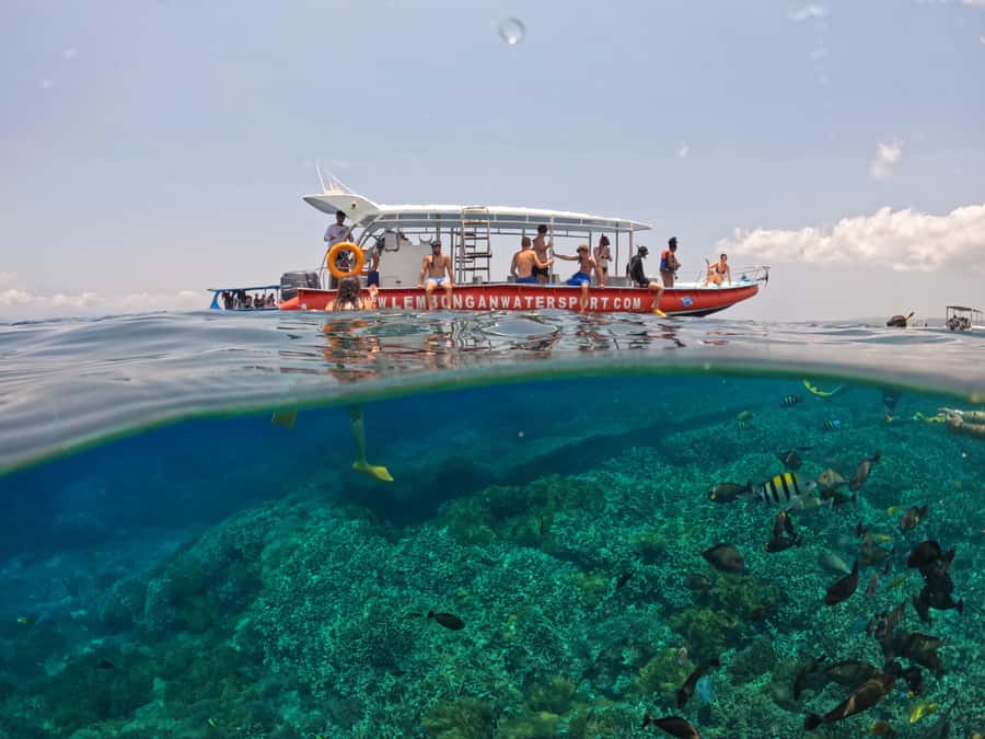 From Lembongan: Nusa Penida Snorkeling Day Trip - Is $21 good value?