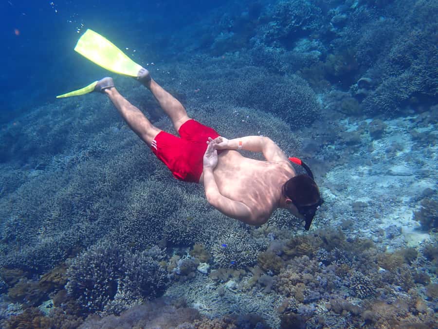From Lembongan: Nusa Penida Snorkeling Day Trip - Three snorkeling stops, three different moods