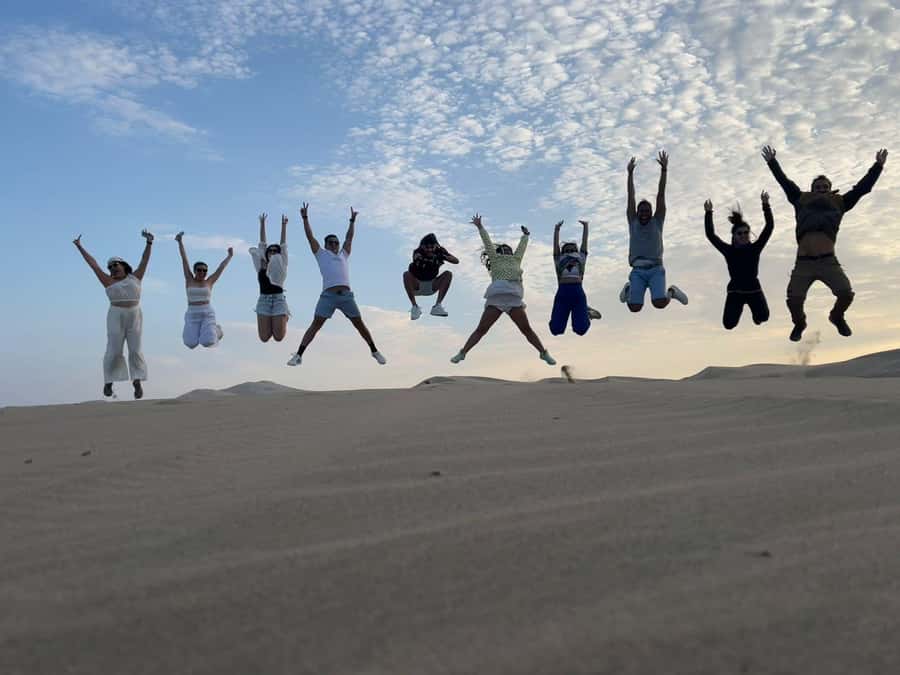 From Lima: Day trip to Paracas, Ica and Oasis Huacachina - Two hours among the Ballestas Islands