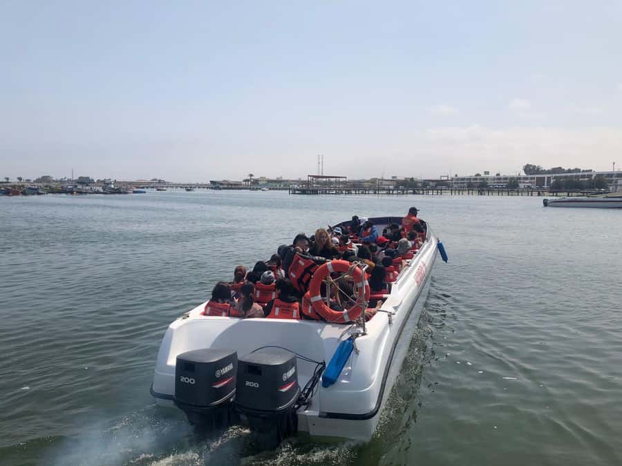 From Lima: Day Trip to Paracas, Ica & Oasis Huacachina - Ica lunch and the local pisco stop