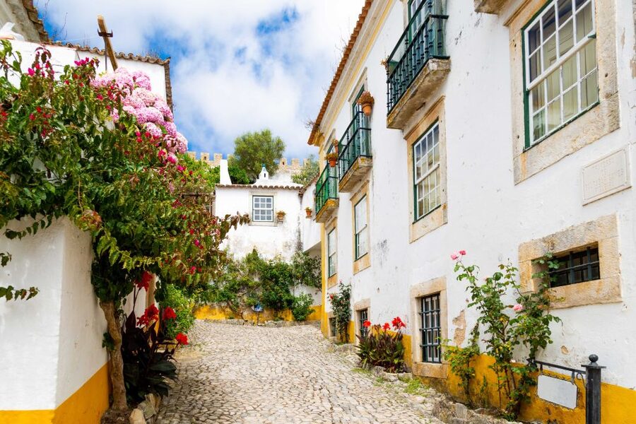 From Lisbon: Day Trip to Porto, Óbidos, and Nazaré - The long road to Porto