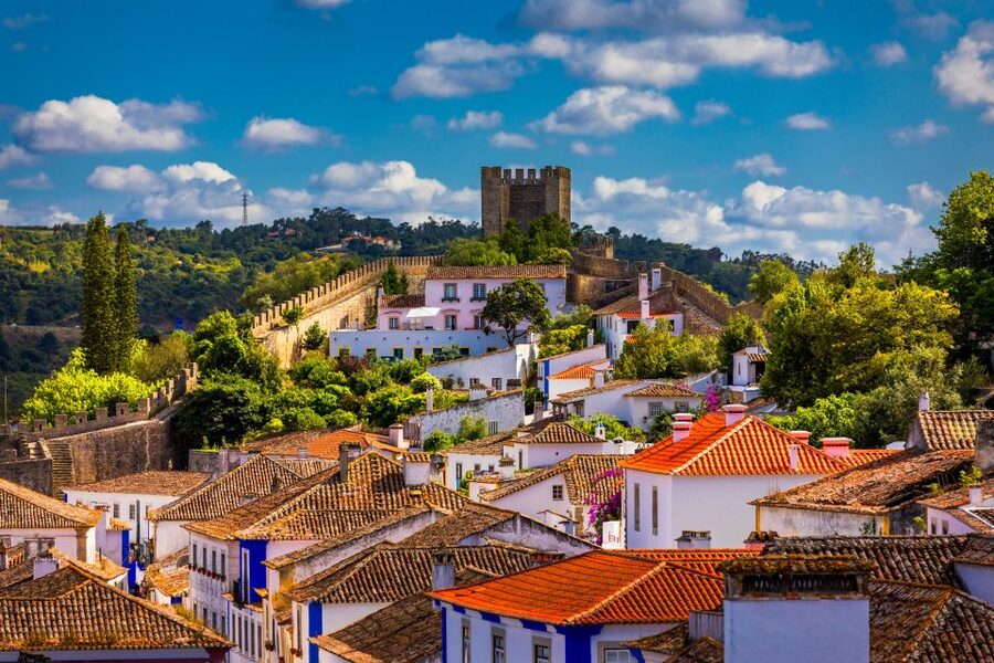 From Lisbon: Day Trip to Porto, Óbidos, and Nazaré - Porto, lunch by the Douro, and the old center