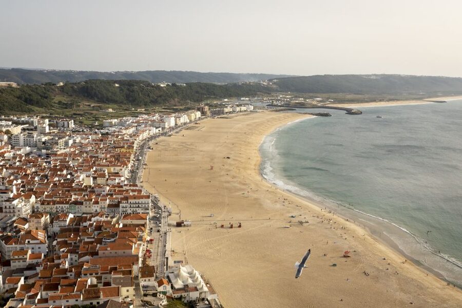 From Lisbon: Day Trip to Porto, Óbidos, and Nazaré - Is $97 a fair price?