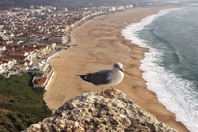 From Lisbon: Fatima Batalha Nazare & Obidos Small Group Day Trip - Fátima: a solemn first stop