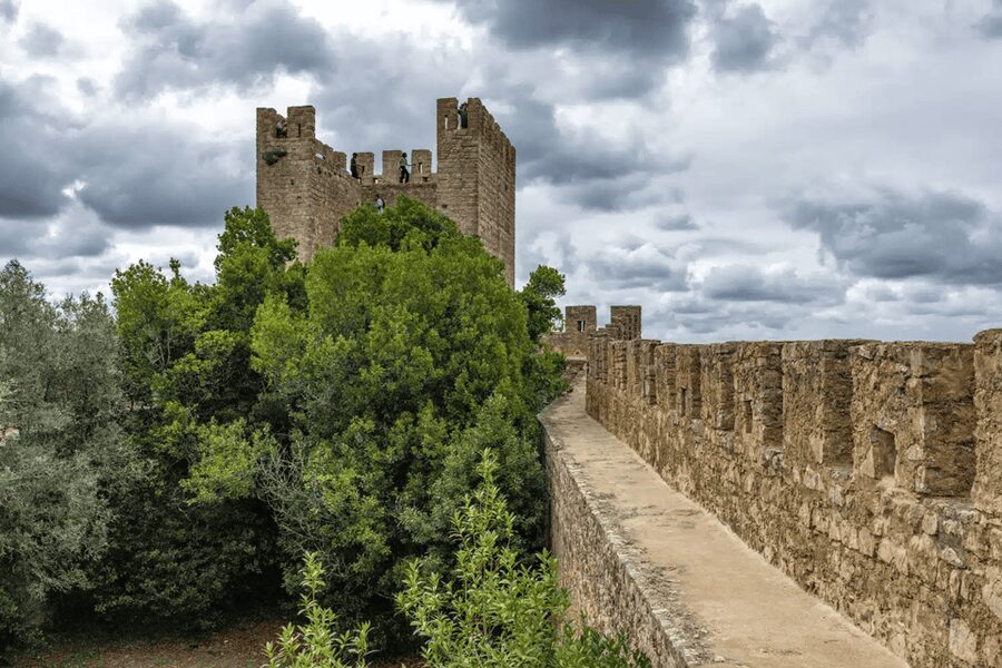 From Lisbon: Nazare Big Waves and Óbidos Guide Day Trip - Transport, walking, and comfort