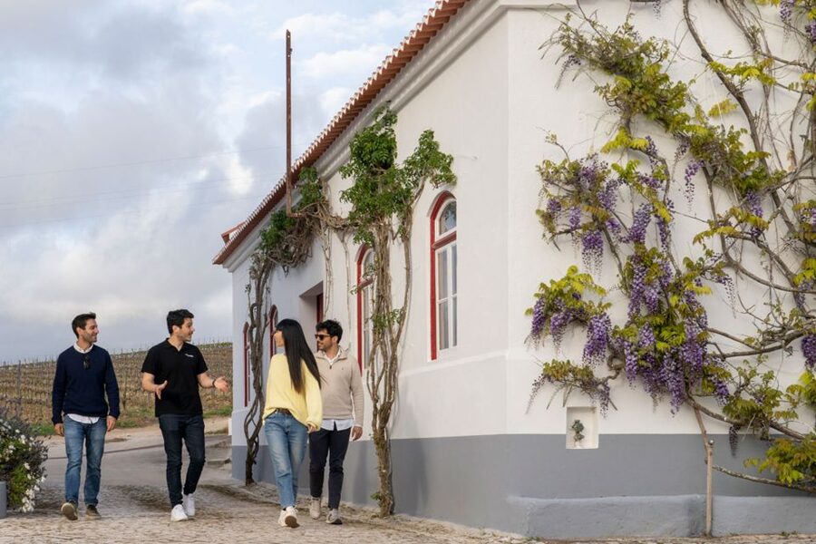 From Lisbon: Sintra & Pena Palace Day Trip with Wine Tasting - Pena Palace gardens and Sintra’s Romantic setting