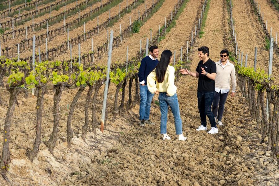 From Lisbon: Sintra & Pena Palace Day Trip with Wine Tasting - From Sintra to Mafra’s wine country