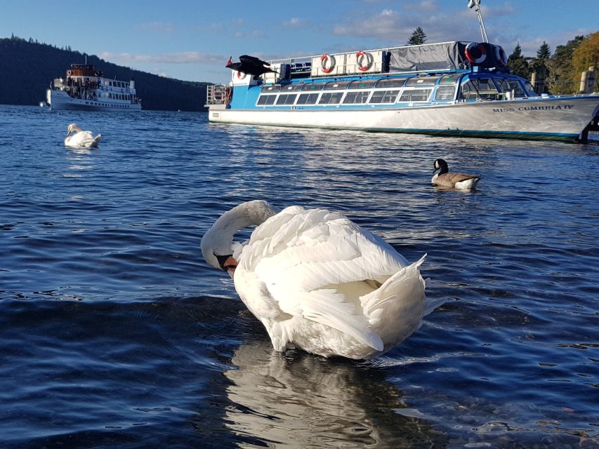 From Liverpool: Lake District Sightseeing Adventure Day Trip - Key points to know before booking