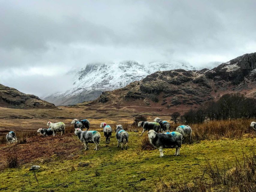 From Liverpool: Lake District Sightseeing Adventure Day Trip - Little Langdale and the road into Great Langdale