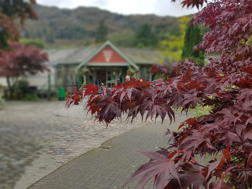 From Liverpool: Lake District Sightseeing Adventure Day Trip - What the guide adds to the day