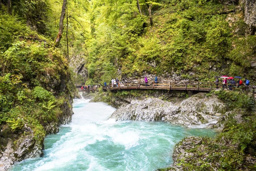 From Ljubljana: Day Trip to Bled and Vintgar Gorge - Lake Bohinj and Triglav National Park