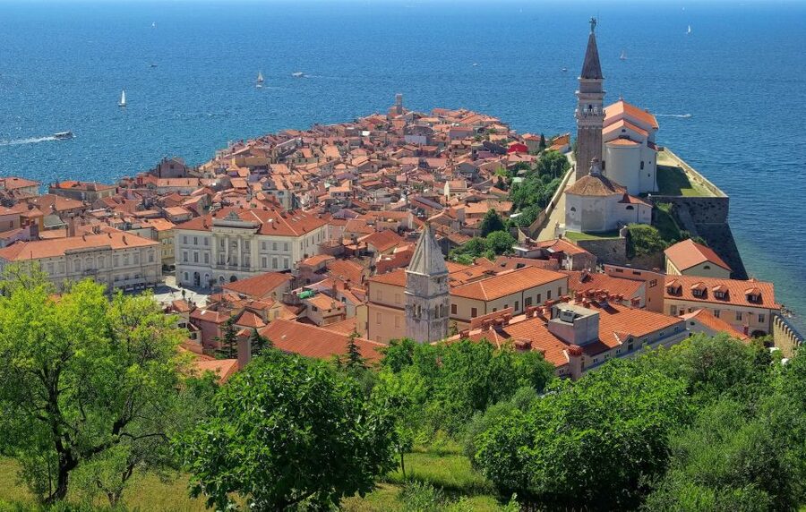 From Ljubljana: Škocjan UNESCO Caves and Piran Full-Day Trip - The steps and the cold are real considerations