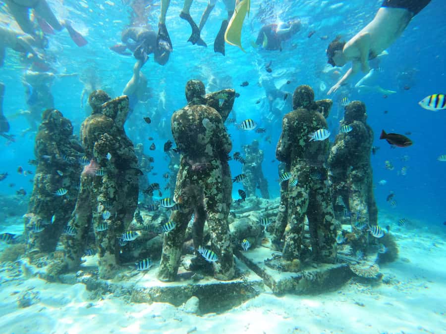 From Lombok: Gili Islands Snorkeling Day Trip - Boat travel, group size, and the private-trip question