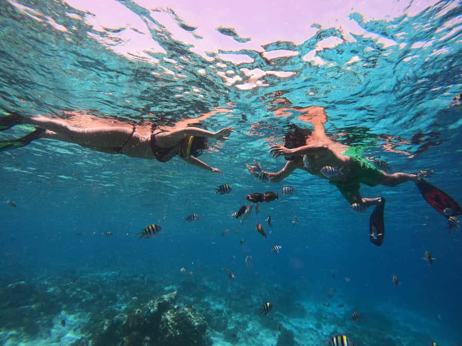 From Lombok: Gili Islands Snorkeling Day Trip - What the $75 price really buys