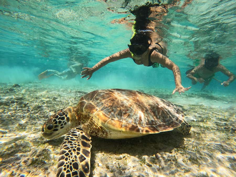 From Lombok: Gili Islands Snorkeling Day Trip - Leaving Nipah Beach across the Lombok Strait