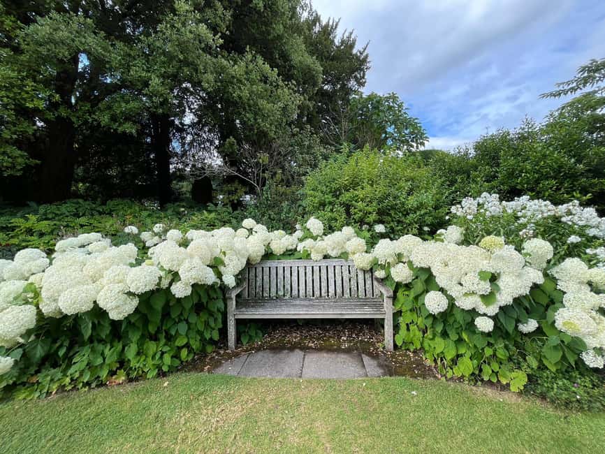 From London: Day Trip to Downton Abbey, Oxford and Bampton - My verdict: a strong Downton day, a quick Oxford introduction