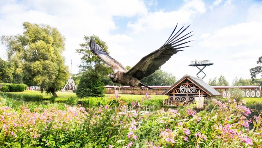 From London: Warwick Castle Day Trip by Rail - Jousting, archery, and birds of prey
