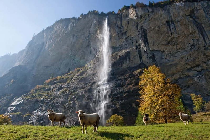 From Lucerne: Day Trip to Grindelwald & Lauterbrunnen - Why this Lucerne day trip works
