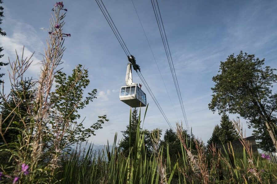 From Lucerne: Mount Rigi Day Trip with Cruise and Cable Car - Vitznau and the 1871 cogwheel railway