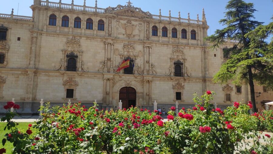 From Madrid: Alcalá de Henares & Cervantes Museum Day Trip - Thirty minutes to pause before Madrid
