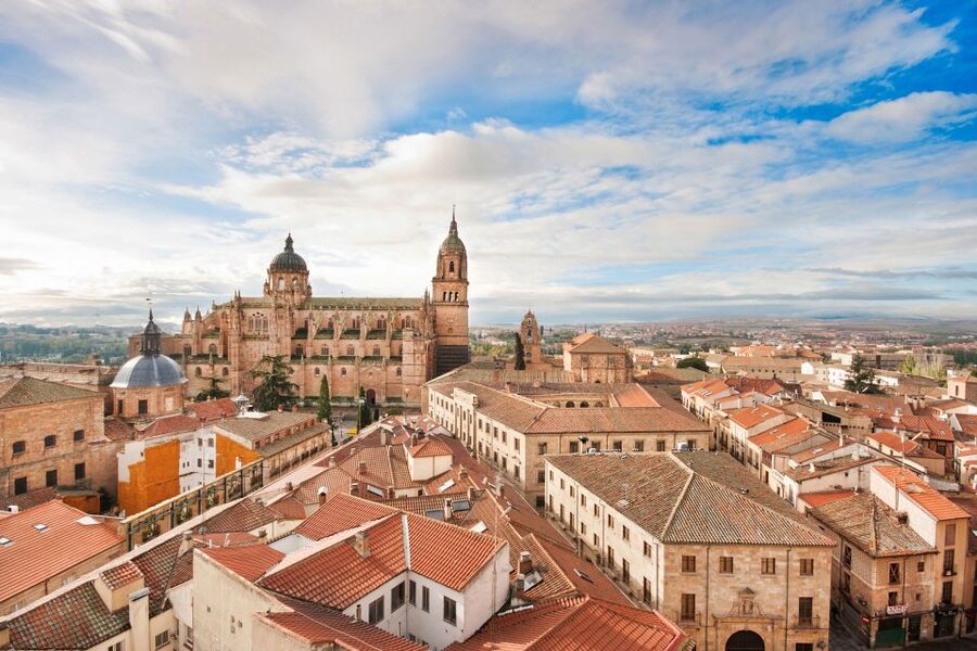 From Madrid: Ávila and Salamanca Guided Day Trip - Who should book this tour