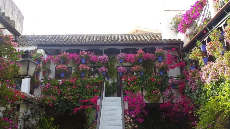 From Madrid: Cordoba and Mosque Day Trip by High-Speed Train - The return train and the real value of the $199 price