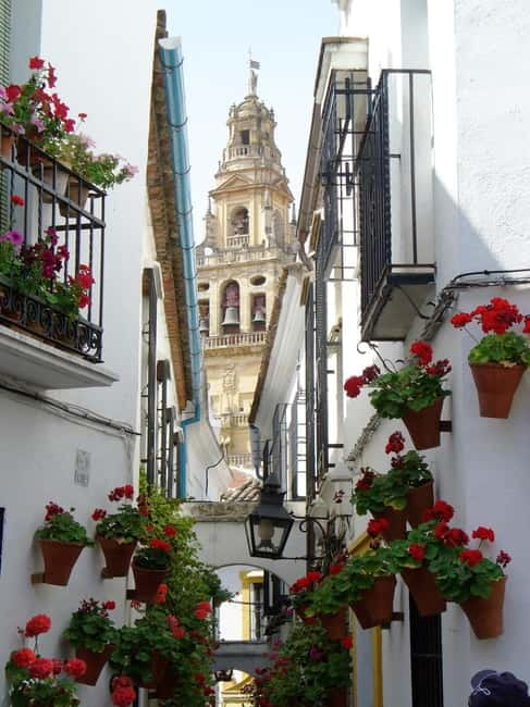 From Madrid: Cordoba and Mosque Day Trip by High-Speed Train - The high-speed train to Córdoba