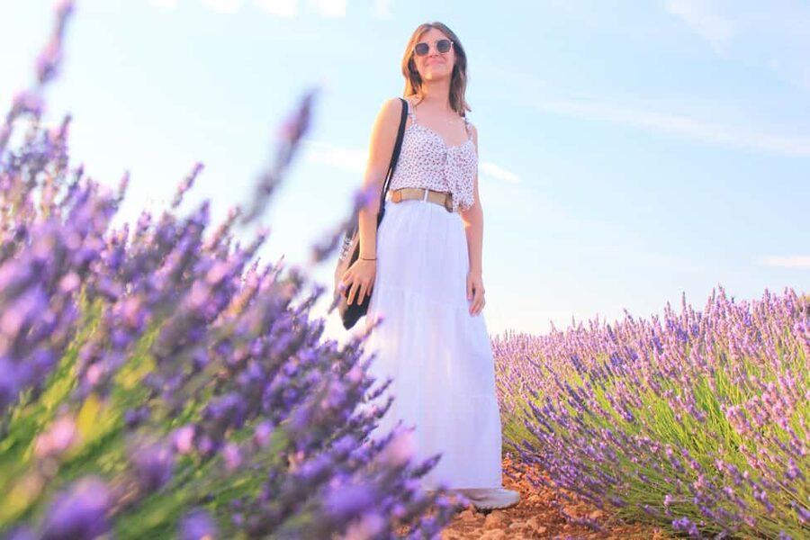 From Madrid: Day Trip to Brihuega Lavender Fields - Key points to know before booking